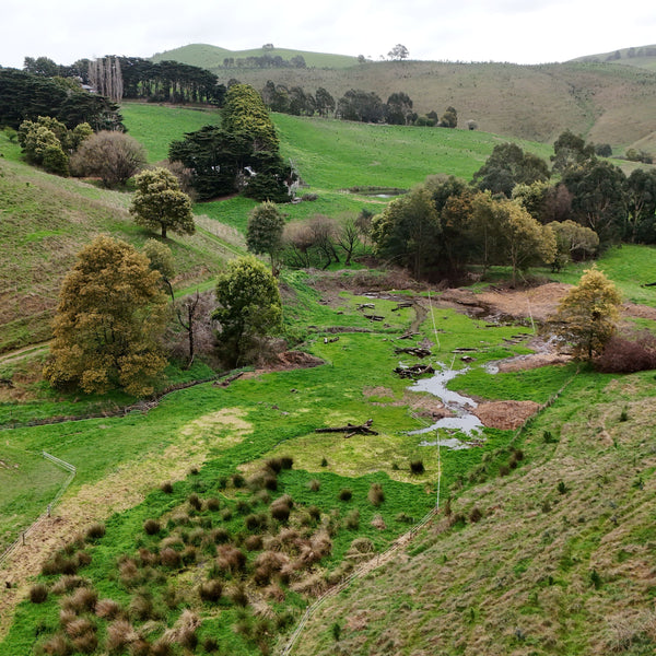 An aerial view of a landscape showing farmland with some trees around a waterway. 