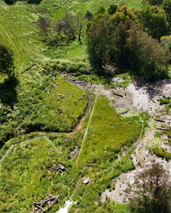 An aerial view of the riparian zone at our Territory forest at Strzelecki Nature Link in South Gippsland.