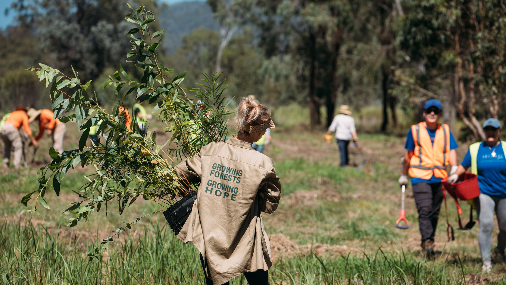 Person carrying tree saplings with 'Growing Forests for Hope' jacket in a forest setting.