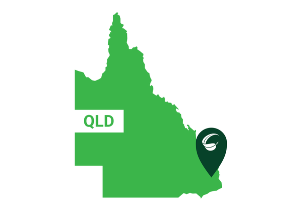 A green stylised map of the Australian state of Queensland, with a tag featuring the letters "QLD" to identify it as such. A dark green location pin with a white gum leaf indicate the spot where Ivory Creek forest can be found.
