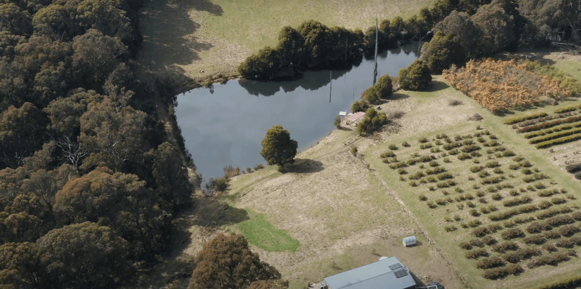 Revegetation of the Kinglake Distillery in Victoria